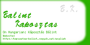 balint kaposztas business card